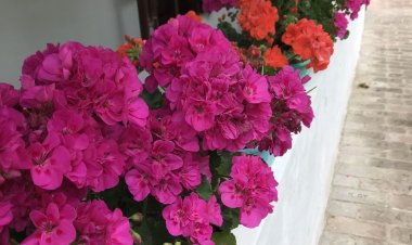 Kán Csodavilág Vendégház Hetvehely