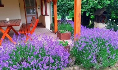 Boglárka Vendégház Nagymákfa Vasvár