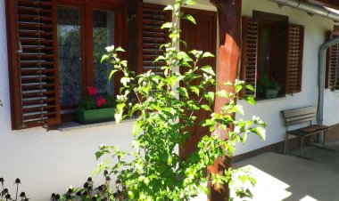 Mákfa Vendégház Vasvár