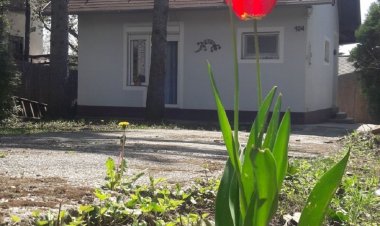 Salamander Vendégház Zánka