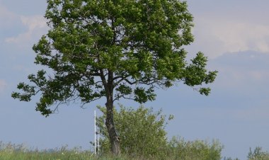 PatakParti Vendégházak Pázmánd