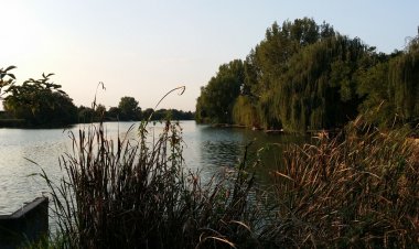 Nagyfoki Alfi Nyaraló Szarvas