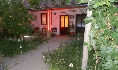 Flóra Vendégház Tass