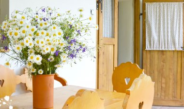 Vadvirág Vendégház Pázmánd