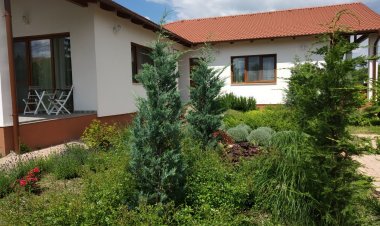 Vadlúd Vendégház Dinnyés