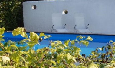 Akácvirág Peace & Sun Szarvasgede