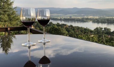 Orchidea Vendégház Zebegény