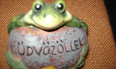Bandesz Vendégház Abádszalók