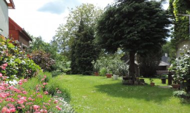 Vadszőlő Vendégház Farkasgyepű