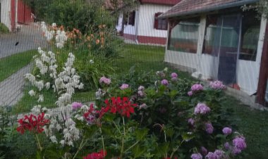 Kisaranyos Vendégház Velemér