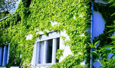 Pozsonyi Vendégház Zebegény