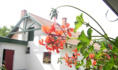 Hajnal Tanya Ballószög