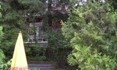 T.bor Vendégház Mátrafüred