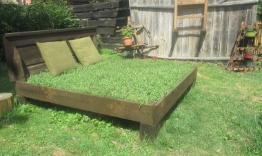 Kéknefelejcs Vendégház Szatta