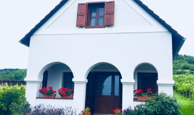 Balaton Felvidéki Fehér Porta Pécsely