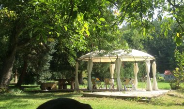 Fonfa Liget Vendégház Sénye