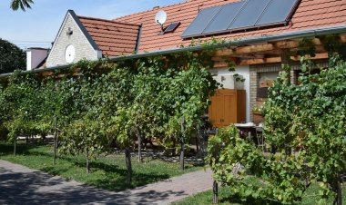 Luca Háza Feketeerdő