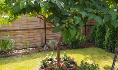 Forrás-G Vendégház Bük