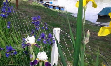 Anita Vendégház Szeged