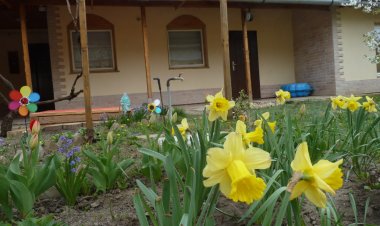 Alföldi Vendégház Hódmezővásárhely