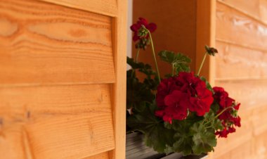 Dorottya Vendégház Hódmezővásárhely