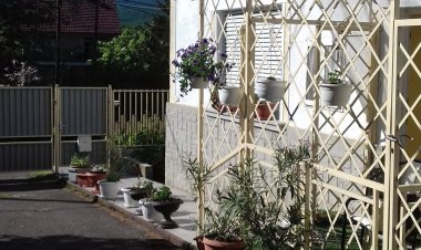 Antalné Vendégház Felsőtárkány