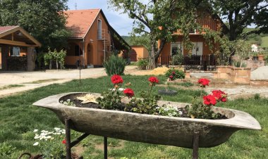 Sándor Vendégház Siklós