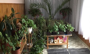 Erzsébet Vendégház Balatonboglár