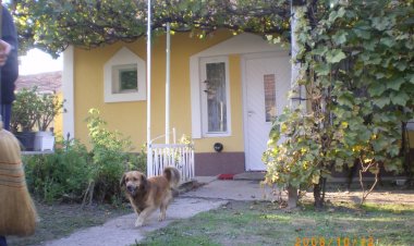 Kertész Vendégház Tiszaalpár