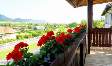 Pitypang Vendégház Felsőtárkány