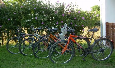 Veronika Vendégház Drávatamási