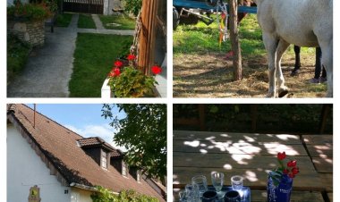 Derű Vendégház és Lovasudvar Fenyőfő