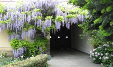 Lila Akác Vendégház Drégelypalánk