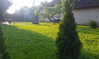 Viktória Vendégház Békéscsaba