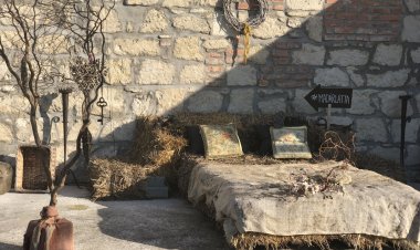 Madárlátta Vendégház Fertőrákos