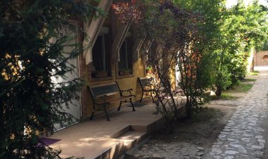 Öreg Szőlő Vendégház és Borház Székesfehérvár