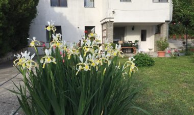 Piknik Vendégház Fertőrákos