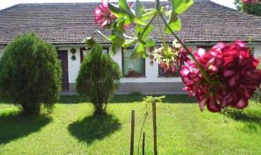 Kutasipuszta Vendégház Székkutas