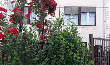 Gergő Vendégház Bükkszék