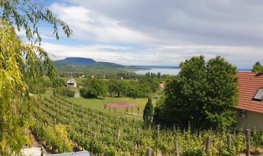 Szabó Pince Vendégház Balatonederics