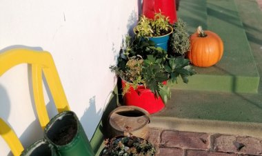 Ábrányi Vendégház Nyírábrány