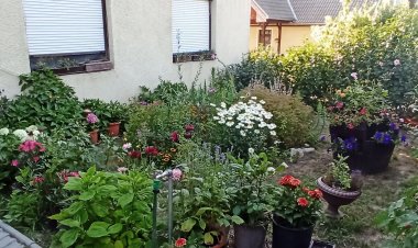 Mari Vendégház Balatonendréd