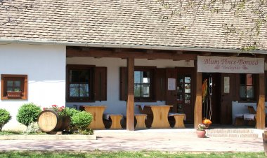 Blum Pince Borozó Vendégház Villány