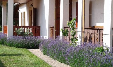 Nosztalgia Vendégház Mezőkövesd