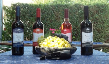 Czékó Vendégház Villány