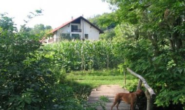 Erdőalja-Vendégház Jásd