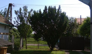 Kovácsék Háza Poroszló