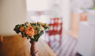 Hóvirág Vendégház Albertirsa