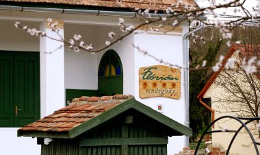 Flórián Vendégház Villánykövesd