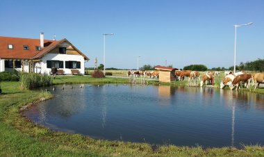 Tarján Puszta Vendégház & Rendezvényterem Kötegyán